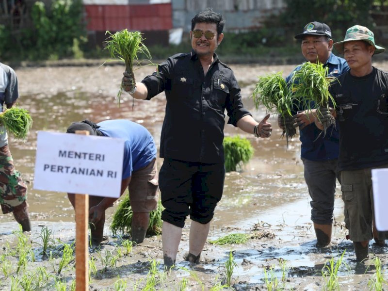 Percepatan Tanam Padi di Gowa, Mentan SYL Minta Daerah Perkuat Pangan Nasional Hadapi Elnino
