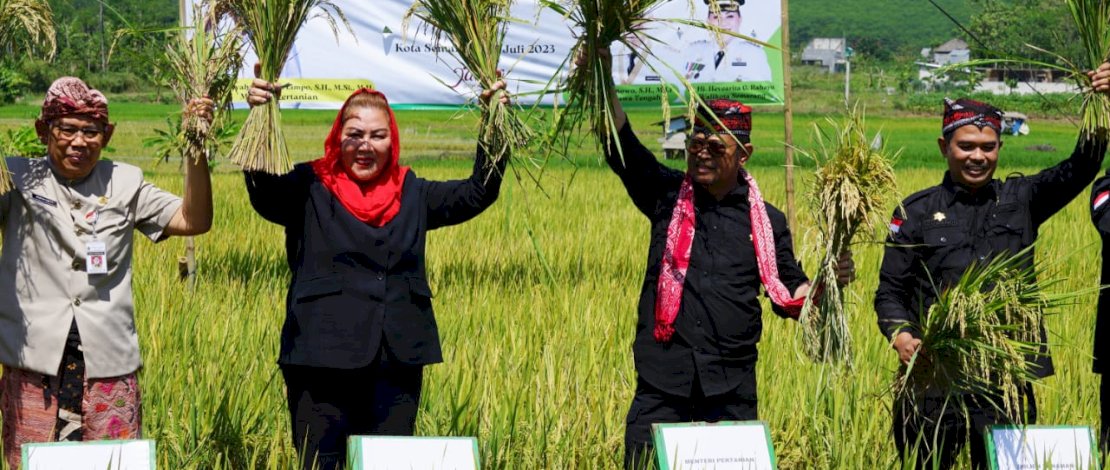 Mentan SYL menggelar panen dan tanam padi di Kelurahan Tambangan, Kecamatan Mijen, Kota Semarang, Jawa Tengah. Mentan SYL menggelar panen dan tanam padi di Kelurahan Tambangan, Kecamatan Mijen, Kota Semarang, Jawa Tengah.