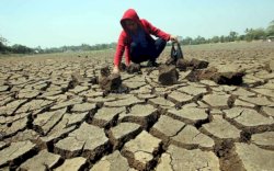 BMKG: Suhu Panas Ekstrem di Indonesia Akan Mereda Seiring Peningkatan Hujan