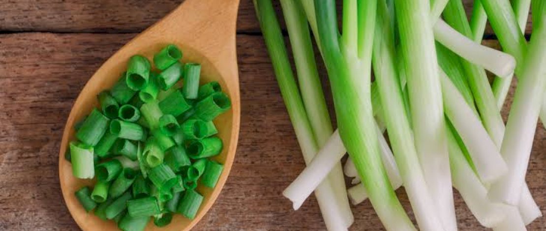 Manfaat Daun Bawang Bagi Kesehatan, Salah Satunya Menguatkan Tulang Manfaat Daun Bawang Bagi Kesehatan, Salah Satunya Menguatkan Tulang