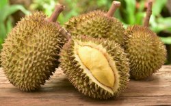 Durian Bikin Kolestrol Naik?, Ini Fakta Sebenarnya