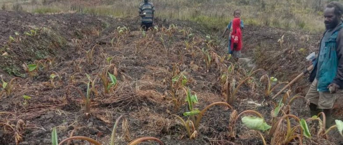 Papua dilanda cuaca ekstrem.