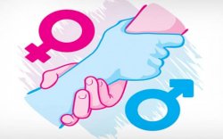 Data BPS : Indeks Ketimpangan Gender (IKG) Indonesia Menurun Tiap Tahun