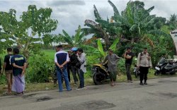 Warga Bone Temukan Mayat Bayi Baru lahir di Pinggir Jalan , Tali Pusar dan Ari-ari Masih Menyatu