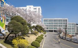 Anak Muda di Korea Lebih Senang Jadi Pengangguran Ketimbang Lanjutkan Pendidikan 