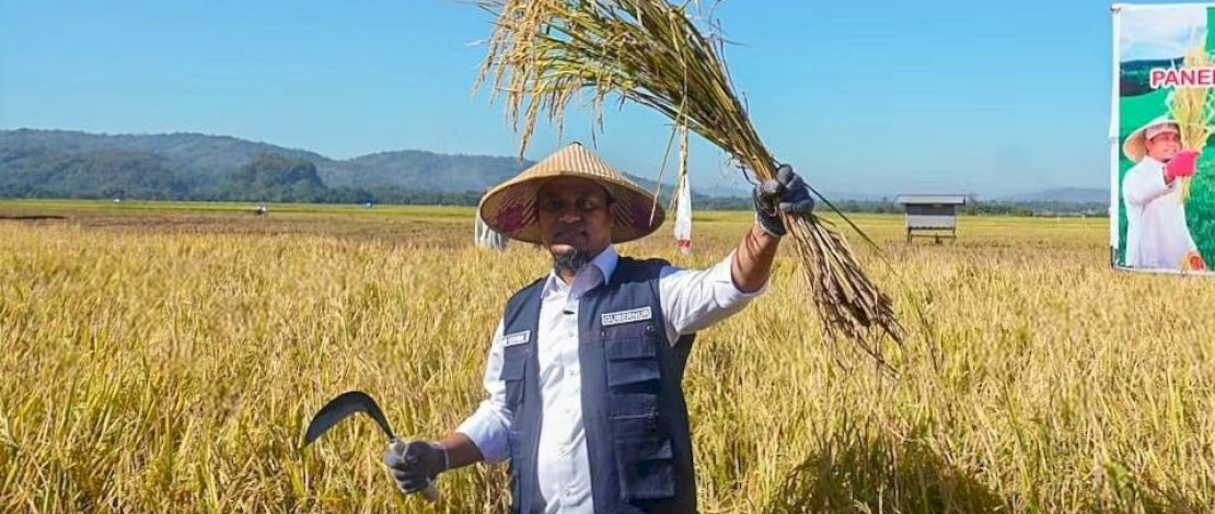 Gubernur Sulawesi Selatan (Sulsel), Andi Sudirman Sulaiman, melakukan penanaman dan panen Mandiri Benih Padi Sulsel di Desa Tanete, Kecamatan Simbang, Kabupaten Maros, Kamis, 3 Agustus 2023.