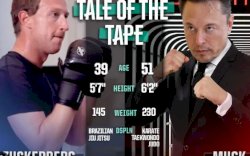 Musk Umumkan Cage Fight dengan Zuckerberg bakal Disiarkan Langsung di Platform X