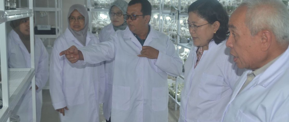 Launching Benih Pisang Hasil Kultur Jaringan di Unit Pelaksana Teknis Dinas (UPTD) Balai Benih Induk Tanaman Pangan dan Hortikultura (BBITPH) Loa Janan Provinsi Kaltim.