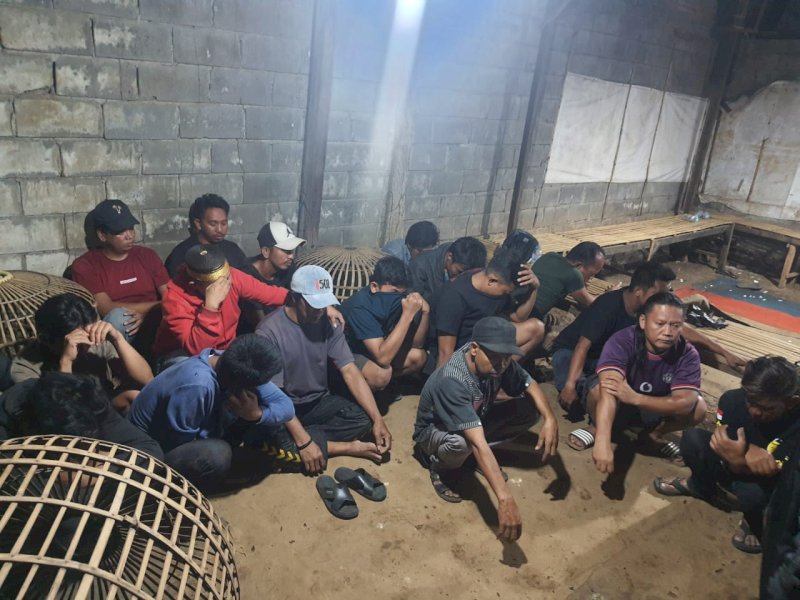 Polda Sulsel Bongkar Judi Sabung Ayam, Pengelola dan Pelaku Berhaburan