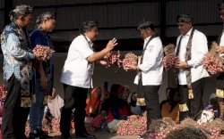 Mentan SYL Lepas Ekspor Bawang Merah ke Thailand, Nilainya Setara Rp3,4 Miliar