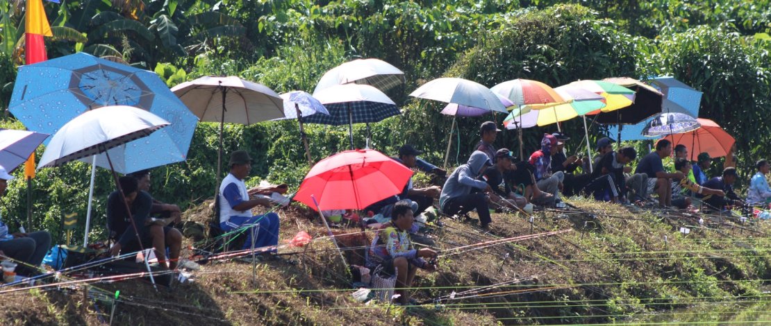 Piala Bergilir Lomba Mancing: Peserta se-Tana Luwu Bersaing di Acara HUT Kemerdekaan di Bintang Maelo Fish Farm