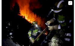 Pesantren Gontor 8 Aceh Dilanda Kebakaran Hebat, Ratusan Santri di Evakuasi