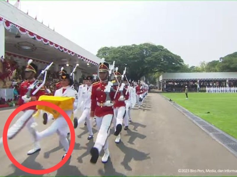 Kejadian Tidak Terduga: Sosok Lilly Indiani, Pembawa Baki yang Sepatunya Copot saat Upacara Kemerdekaan di Istana Negara