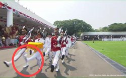Kejadian Tidak Terduga: Sosok Lilly Indiani, Pembawa Baki yang Sepatunya Copot saat Upacara Kemerdekaan di Istana Negara