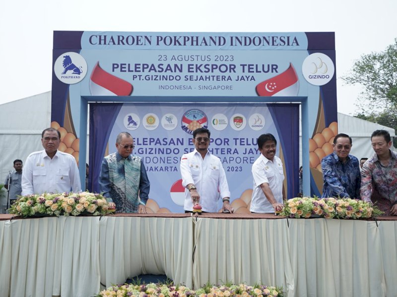 Susul Karkas Ayam Beku dan DOC, Indonesia Berhasil Ekspor Telur ke Singapura