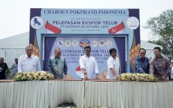 Susul Karkas Ayam Beku dan DOC, Indonesia Berhasil Ekspor Telur ke Singapura