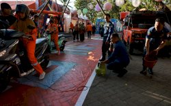 Damkar Pamerkan Satwa Liar Burung Elang dan Buaya Hasil Evakuasi di F8 Makassar