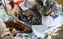 Lewat Foto, Andi Fauzan Bercerita Tentang Kepedulian Masyarakat di Event F8 Makassar