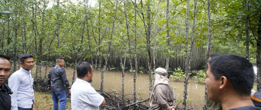 Gubernur Sulsel Andi Sudirman Sulaiman melakukan sharing terkait Carbon Trading dengan mengunjungi hutan mangrove sekaligus menanam bibit mangrove di daerah Bintan.