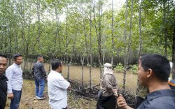 Gubernur Andi Sudirman Minta DKP Sulsel Contoh Kesuksesan Carbon Trading di Kepri untuk Tingkatkan PAD