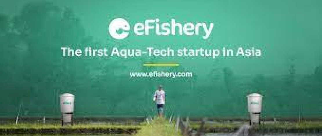 Wow! Tiga  Bos Start Up Nominator EOY 2023 Ini Berpengahasilan hingga Rp10 T per Tahun