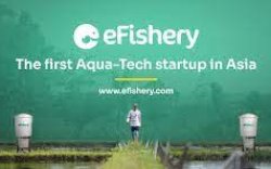 Wow! Tiga  Bos Start Up Nominator EOY 2023 Ini Berpengahasilan hingga Rp10 T per Tahun