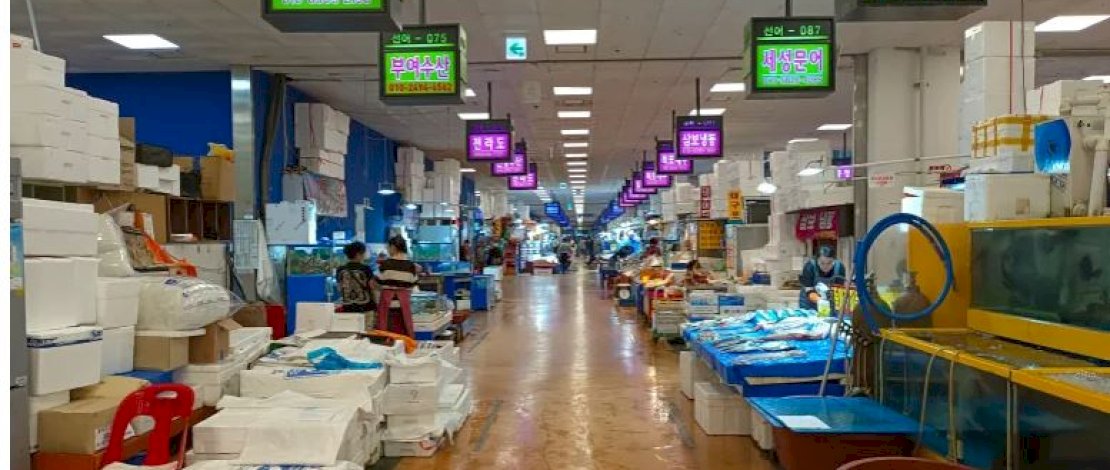 Pasar seafood Korea Selatan tampak sepi pasca pelepasan air radioaktif dari pembangkit listrik tenaga nuklir ke laut lepas Fukushima oleh Jepang