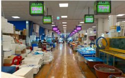 Jepang Lepas Air Radioaktif ke Laut Fukushima, Korea Selatan Batasi Konsumsi Seafood