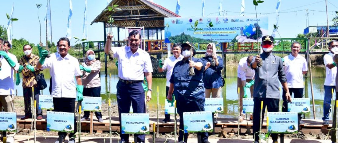 Pemprov Masif Lakukan Penanaman Mangrove di Wilayah Pesisir Sulsel