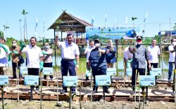 Pemprov Masif Lakukan Penanaman Mangrove di Wilayah Pesisir Sulsel