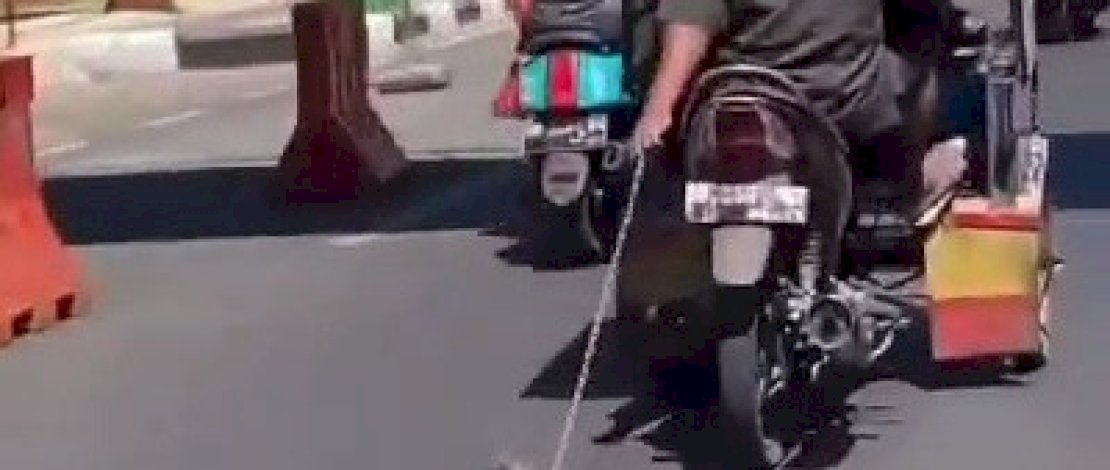 Seekor anjing mendapat perlakuan tak menyenangkan.