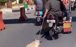 Tak Terima Ada Anjing Diseret di Jalanan, Pemerhati Hewan Lapor Polisi