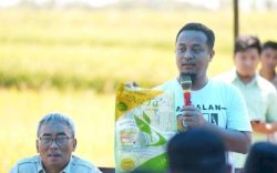 Pertanian Sulsel Berjaya di Era Pemerintahan Andi Sudirman Sulaiman
