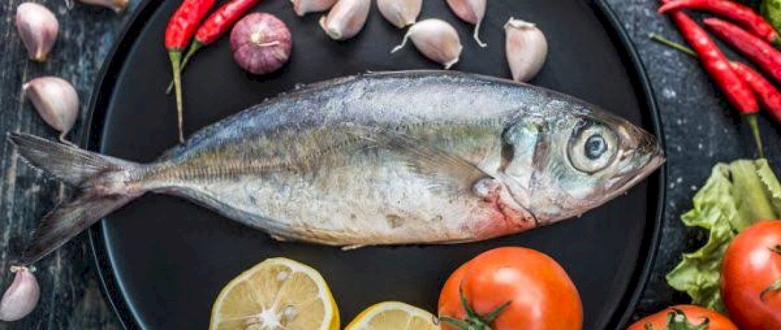 Hati-hati, 10 Jenis Ikan Ini Bisa Merusak Otak Jika Sering Dikonsumsi Hati-hati, 10 Jenis Ikan Ini Bisa Merusak Otak Jika Sering Dikonsumsi