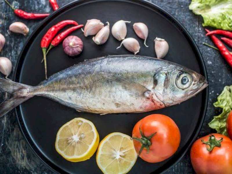 Hati-hati, 10 Jenis Ikan Ini Bisa Merusak Otak Jika Sering Dikonsumsi
