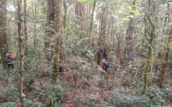 Tujuh Hari Pencarian, Pendaki Gunung Bawakaraeng Belum Ditemukan 