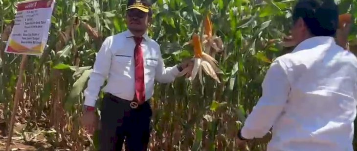 Mentan SYL Launching Jagung Jago Hasil Kolaborasi Unhas-Kementan