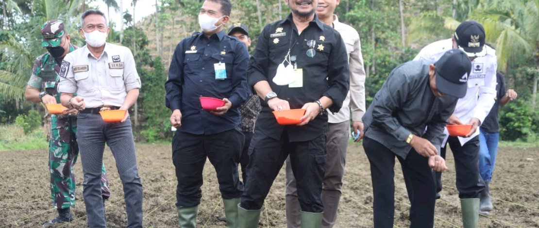 Kementan berkomitmen dalam meningkatkan produksi komoditas pertanian melalui berbagai program terobosan seperti penyediaan bibit unggul terutama menghadapi El Nino. Kementan berkomitmen dalam meningkatkan produksi komoditas pertanian melalui berbagai program terobosan seperti penyediaan bibit unggul terutama menghadapi El Nino.