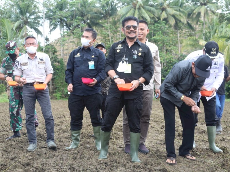 Tak Hanya Tingkatkan Produksi, Kementan Kejar Pendapatan Petani Naik