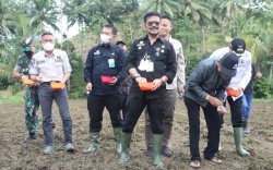 Tak Hanya Tingkatkan Produksi, Kementan Kejar Pendapatan Petani Naik