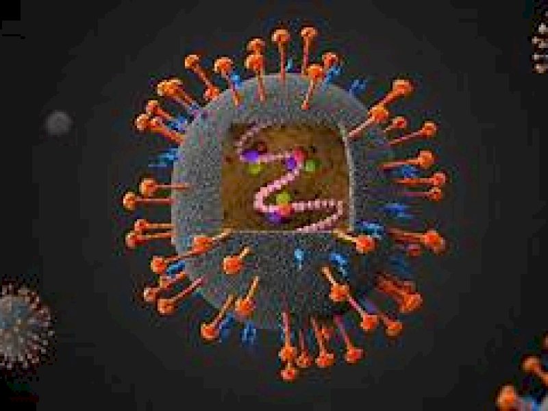 Virus Mengerikan Serang Anak-anak di Amerika