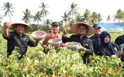 Kendalikan Inflasi, Mentan SYL Dukung Penuh Pengembangan Cabai di Lombok Timur