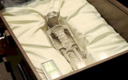 Beda Pandangan Ahli Soal Penemuan Tubuh Misterius dengan Kepala Panjang di Mexico