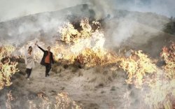 Kerugian Negara Gegara Kebakaran Bromo Diprediksi Capai Rp7 Miliar