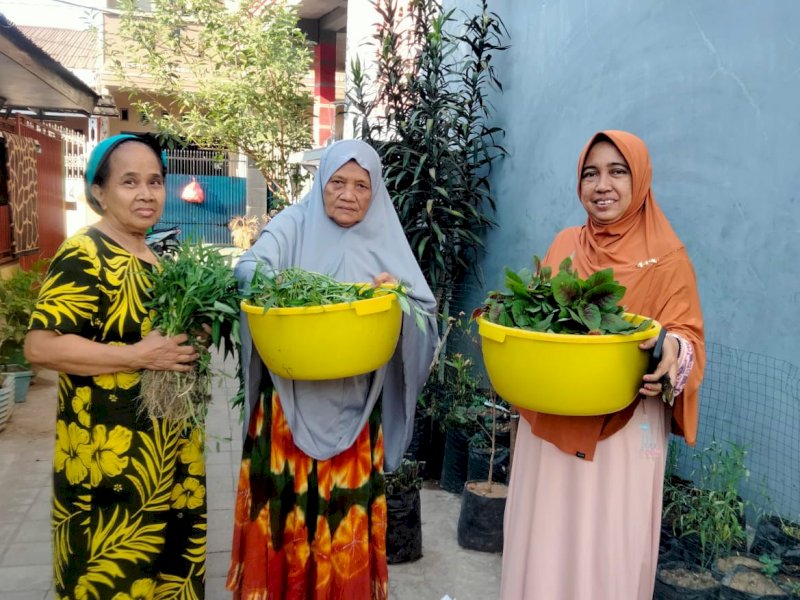 Program Longwis Danny Pomanto Dirasakan Warga Adelaide Panakkukang