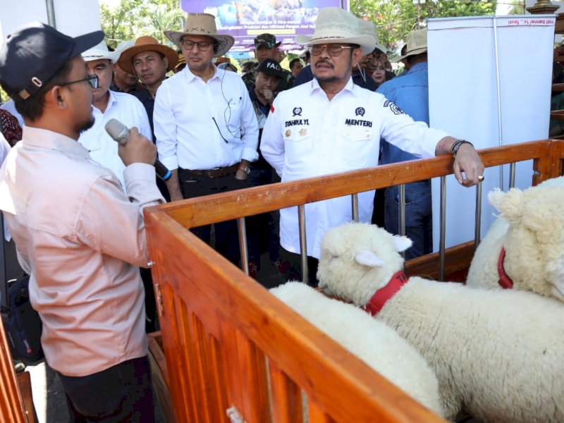 Tiga Penghargaan Dunia Bagi Kementan Berkat Prestasi Sektor Peternakan