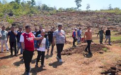 Pj Gubernur Bahtiar Tinjau Perkebunan di Desa Swasembada Toddopulia, Dorong Gerakan Gemar Menanam Pisang