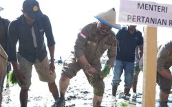 Kementan Dorong Upaya Memperlambat Konversi Lahan Pertanian 