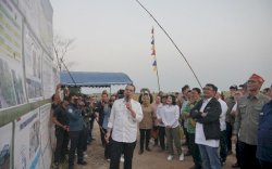 Food Estate Berjalan Baik dan Memberi Dampak Positif