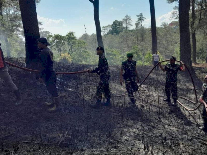 Heboh, Hutan Pinus Malino di Gowa Terbakar